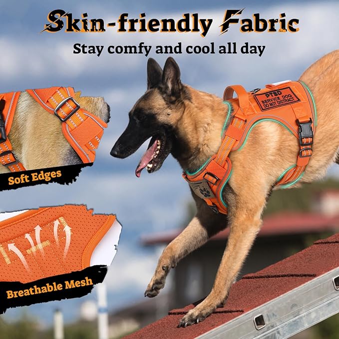 rabbitgoo Dog Harness for Large Dogs No Pull, Tactical Service Pet Vest with Molle and Control Handle, Adjustable and Reflective Military Harness for Easy Walking and Training, Orange, L