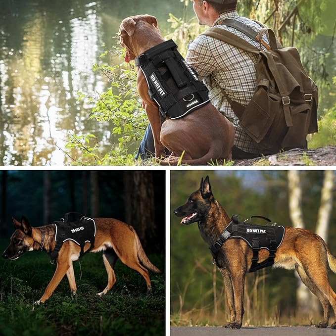 WINSEE Mesh Dog Harness with 10 Pet Patches for Large Service Dog in Training, Breathable Tactical Molle Vest with Double Handles, Reflective Military Pet Vest for Walking Hiking