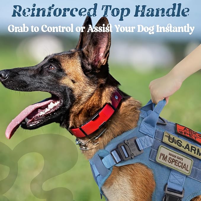 rabbitgoo Tactical Dog Harness for Large, Heavy Duty Pet Harness with Handle, No-Pull Service Vest Large Breed, Adjustable Military Dog Vest for Training Hunting Walking, Blue, L