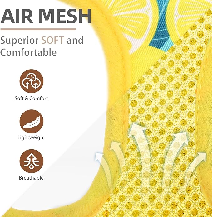 PUPTECK Dog Harness and Leash Set for Small Medium Dogs No Pull Step-in Soft Mesh Puppy Cat Vest Harnesses Reflective at Night, Yellow Lemon, M