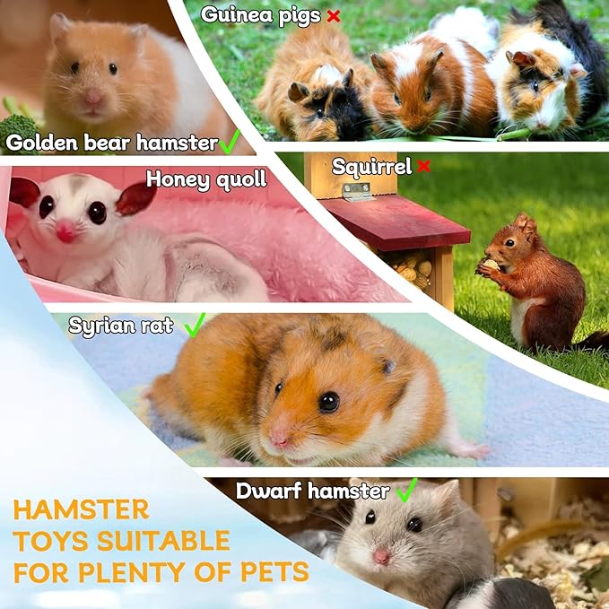 Hamiledyi Wooden Hamsters 2-Chamber Hideout-Tunnel Multi Chamber Exploring Toy Hamster Exploring Tunnel Toy for Hamsters Mice (L)