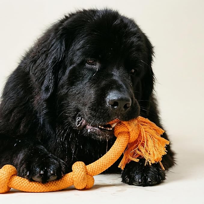 Playology Rope Toys for Dogs | Tug of War Dog Toy for Aggressive Chewers | Cheddar Cheese Scented Dog Toys | Mega Rope Toy for Interactive Play