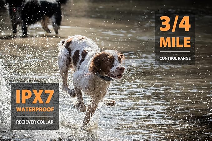 PATPET Dog Shock Collar for 2 Dogs - 3/4 Mile Range E Collar for Dogs Training Collar for Large Dogs (15-140lbs)