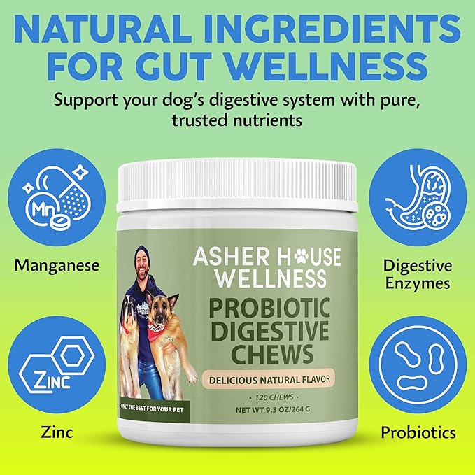 Asher House Wellness Probiotics Digestive Chew for Dogs - Dog Probiotic, Digestive Enzymes for Gut Health & Digestion - Pet Chews for Diarrhea, Upset Stomach, Allergies, Itchy Skin Relief, 120 Chews