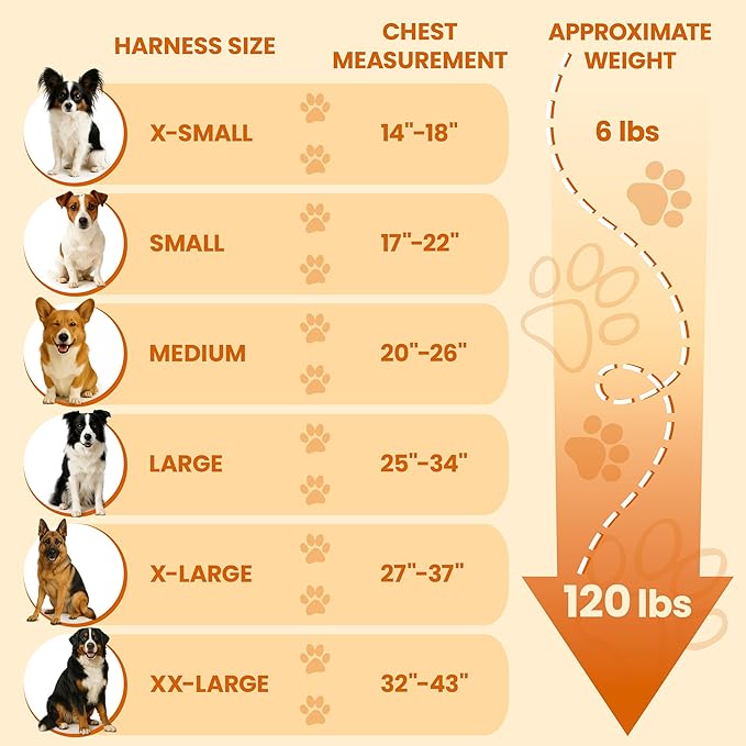 Bark Appeal Blue No-Pull Dog Harness for Medium to Large Sized Pets – Adjustable, Reflective Vest with 3 Leash Clips for Added Control, Easy Walks & Training – Large