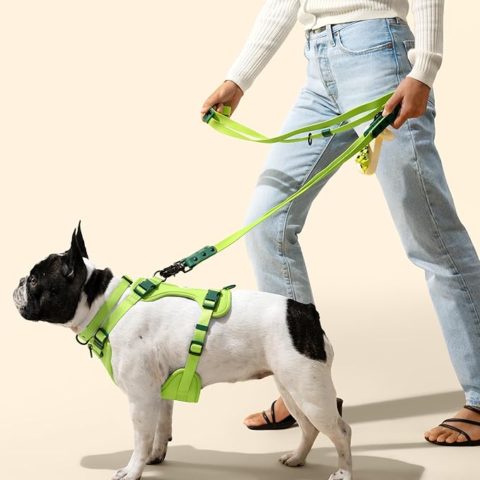 WLK1006B-5SET Luna Large 8FT Adjustable 6-in-1 Waterproof Hands-Free Leash and Collar with LED Flashlight, Bag Dispenser, and Poop Bag Holder, Mojito