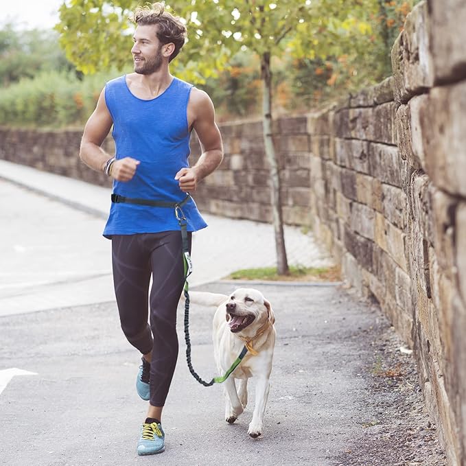 Tuff Mutt Hands-Free Waist Leash for Dog Walking, Running and Hiking, Carabiner Clip, Adjustable Belt with Double Handle, Reflective Bungee Design for Large & Medium Dogs