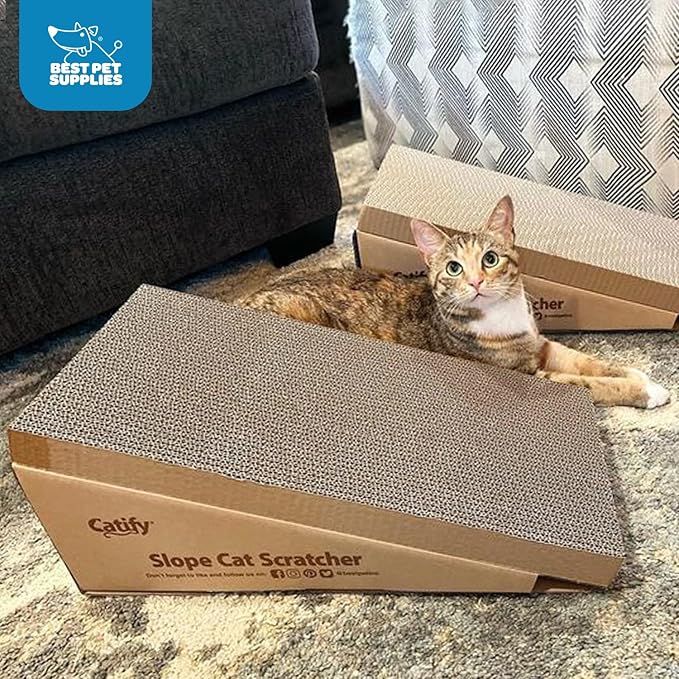 Best Pet Supplies Catify Cat Scratcher, Fun Interactive Scratchers, Posts, Poles, Claw Safe, Furniture Saver Indoor Play Support Natural Cat Behaviors Heavy Duty - Slope Scratcher (2 Pack)