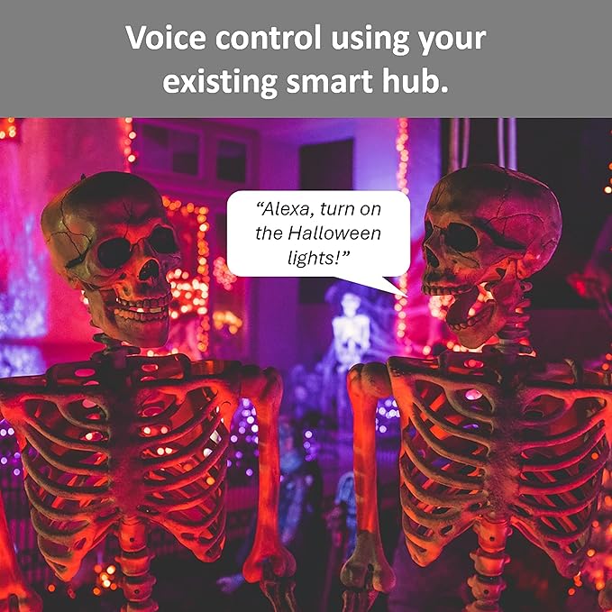 Legrand Wi-Fi Outdoor Dual Output Matter Smart Plug, Effortless Setup, Enhanced Compatibility with Apple HomeKit, Google Home, Alexa & SmartThings, Matter Smart Home, Pack of 1 WWMP31