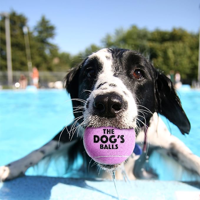 The Dog's Balls, Dog Tennis Ball, Lilac 12-Pack, Strong Toy for Agility Training, Puppy Training, Play, Exercise & Fetch, 2.5 Inch Diameter
