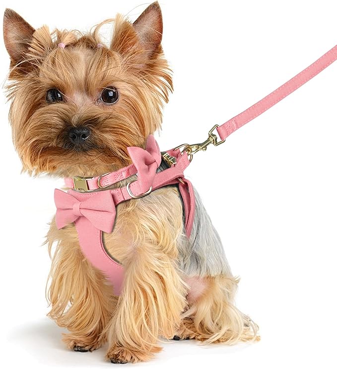 Beirui Cute XXS Dog Harness Set with Three Detachable Bows, Adjustable Step in Dog Harness Collar and Leash Set with Secure Metal Buckle for Daily Walking, Parties & Holiday Outfits(Pink,XXS)