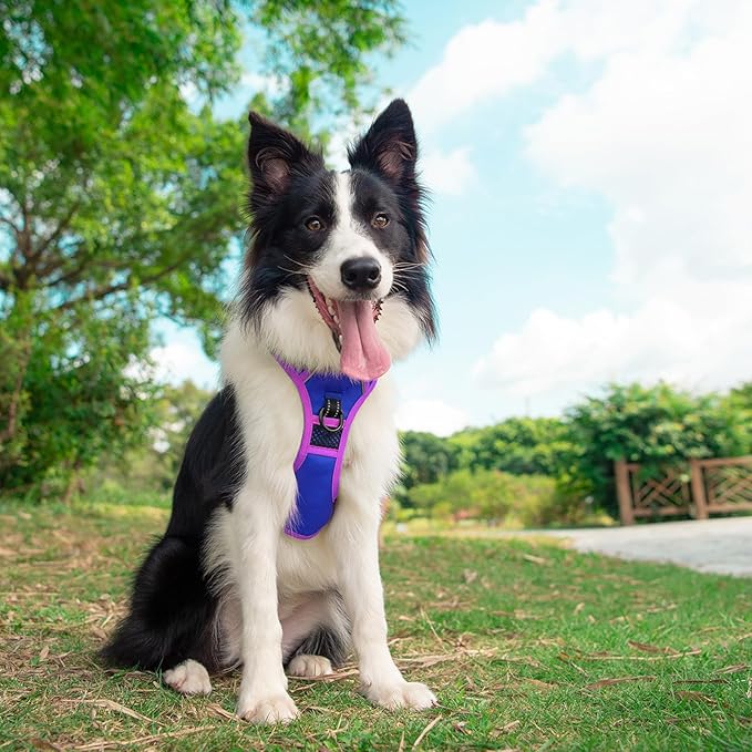 PHOEPET 2019 Upgraded No Pull Dog Harness, Reflective Adjustable Vest, with a Training Handle + 2 Metal Leash Hooks+ 3 Snap Buckles +4 Slide Buckles(XL, Royal Blue)