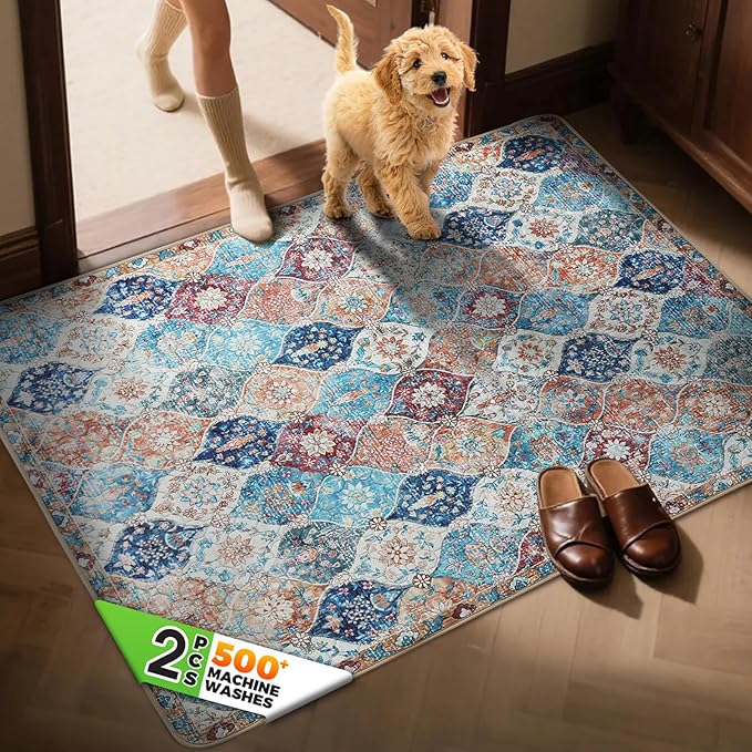 Hompet 2 Pack Super Absorbent Dog Door Mat for Muddy Paws, Washable Pee Pads for Dogs, Reusable Puppy Training Pads, Quick Dry Non-Slip Pet Entryway Rug, Leak-Proof Potty Pad for Indoor Floors 48x60