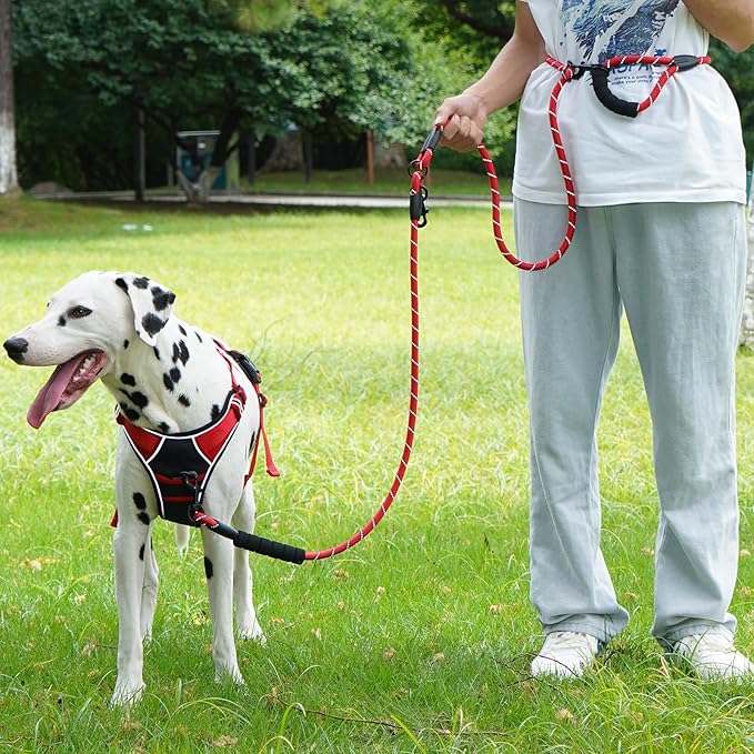 Cymiler Hands Free Dog Leash, 8 Ft Reflective Cross-Body Pet Rope Leashes with Sponge Handle, Heavy Duty Nylon, for Running, Hiking, Training, Waist Leash for Small Medium Large Dogs (Red)