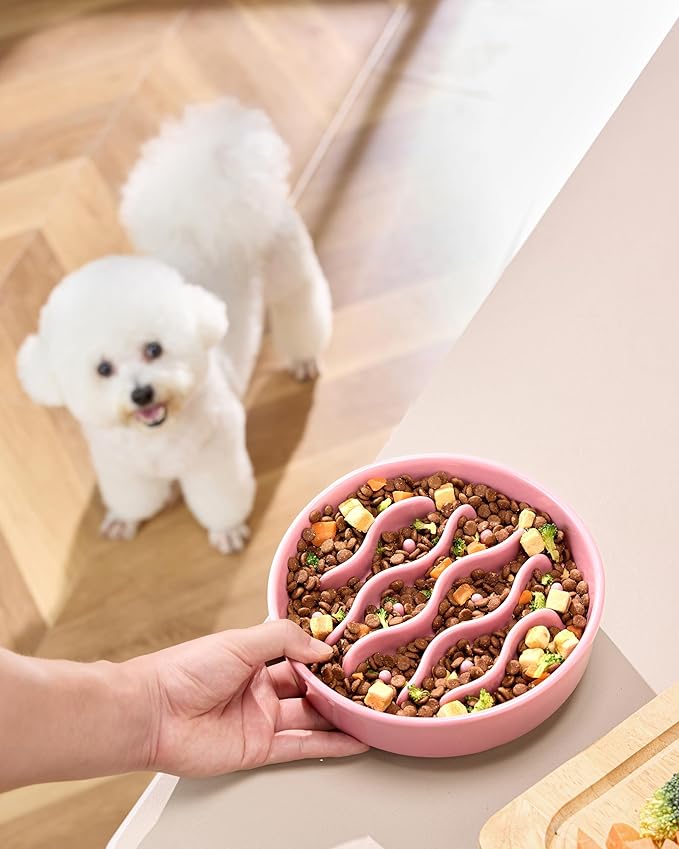 Ceramic Slow Feeder Dog Bowls for Medium and Large Dogs, 2.0 Cups Dog Slow Feeder for Fast Eater, 30oz, 8in, Salmon Pink