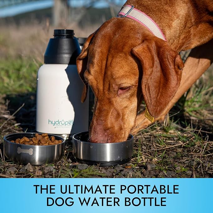 Hydropet Portable Dog Water Bottle (64 oz) - Insulated Dogs & Cats Travel Bottles, Stainless Steel - Detachable Dog Food Bowl and Water Bowl - Great for Daily Walks - Puppy Essentials & Accessories