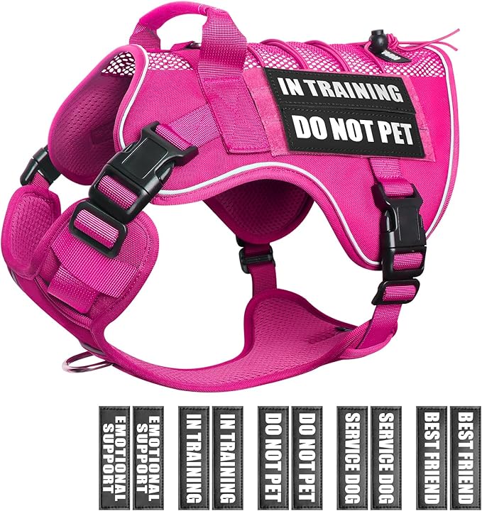 WINSEE Service Dog in Training Mesh Harness with 10 Pet Patches, Soft Air Mesh Breathable Tactical Dog Molle Vest, Reflective Military Pet Vest for Walking Hiking for Small Dogs
