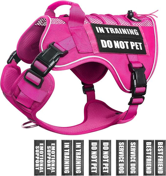 WINSEE Service Dog in Training Mesh Harness with 10 Pet Patches, Soft Air Mesh Breathable Tactical Dog Molle Vest, Reflective Military Pet Vest for Walking Hiking for Small Dogs