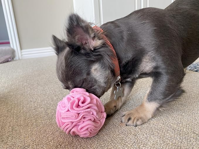 Glory To Dog Puppy and Small Breed Snuffle Interactive Foraging Dog Puzzle Ball Toy Pink Small