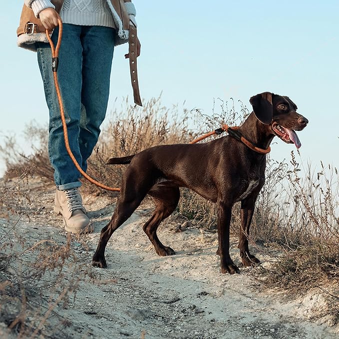 TwoEar Slip Leads for Dogs, 1/2" x 6FT Slip Leash for Large Dogs with Highly Reflective Threads, Comfortable Strong Rope Slip Leads, No Pull Pet Training Leash, Orange