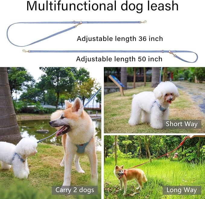 CHEDE No Pull Puppy Harness and Multifunction Dog Leash Set- 8 Colors Soft Adjustable No Choke Escape Proof Cute,Lightweight Pet Vest Harness for Small and Medium Dog (S, Blue)