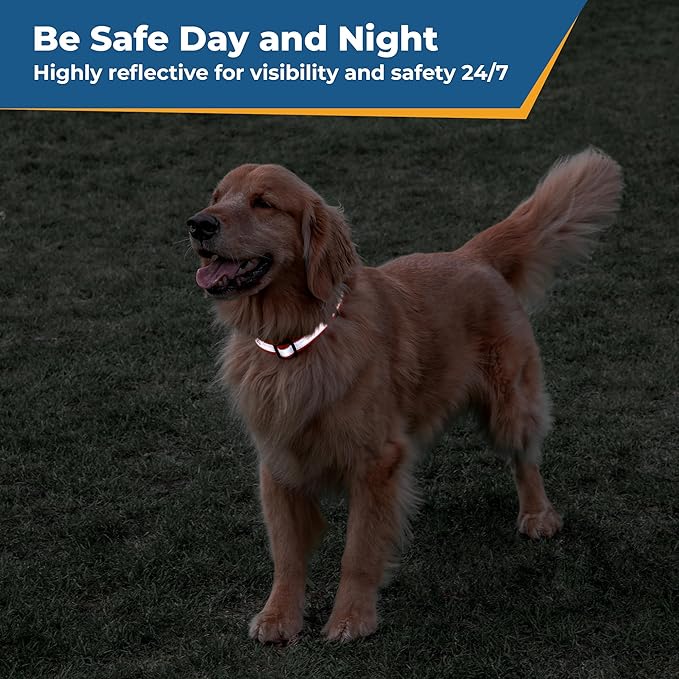 GoTags Reflective Personalized Dog Collar, Custom Embroidered with Pet Name and Phone Number in Black for Boy and Girl Dogs, 3 Adjustable Sizes, Small, Medium, and Large