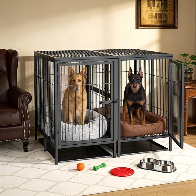 BingoPaw Heavy Duty Dog Crate: 52Inch Extra Large Dog Kennel Indoor with Divider - Metal Crates for Dogs Indoor with Two Door and Tray for Small Medium Large Dogs