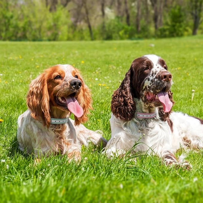 Shock Collar Replacement Strap, 3/4" Waterproof Odorless Reflective TPU Dog Collar, Replacement Collar for Shock Collar with Metal Buckle - All Brands Pet Training E Collars (Pink & Green)
