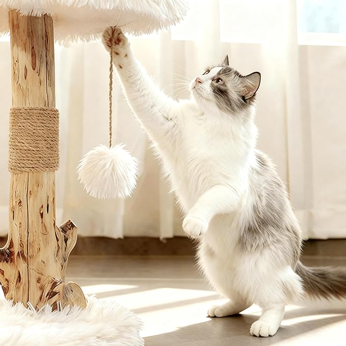 Modern Cat Tree Tower for Indoor Cats, 33" Luxury Cats Trees Natural Solid Wooden with Sisal Scratching Post, Log Style Cat Furniture with Perches Platform & Toy Ball，Primary Colors