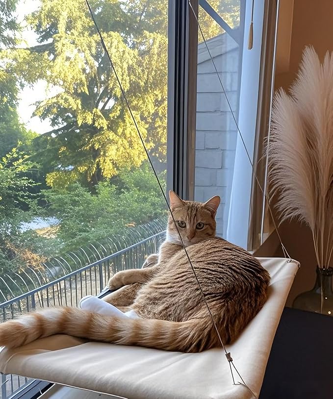 Cats Window Perch, Window cat Bed,Hammock, House, Equipped with Two Powerful Suction Cups, The Load-Bearing Capacity is Stronger, and The cat can Rest Assured to bask in The Sun(Khaki)
