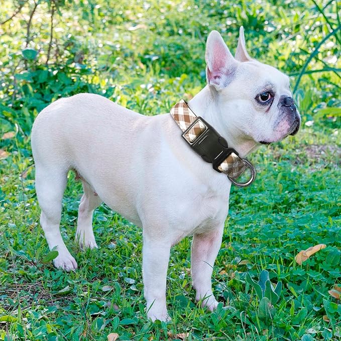Reflective Dog Collar Padded with Soft Neoprene Breathable Adjustable Nylon Dog Collars for Small Medium Large Dogs (X-Small (Pack of 1), Vanilla Plaid Collar+Leash)