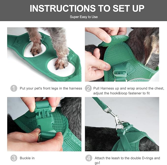 Fida Cat Harness and Leash Set for Walking Kitten and Puppy, Escape Proof Kitten Harness with Breathable Lightweight Soft Mesh, Adjustable Reflective Step-in Design. (S, Green)