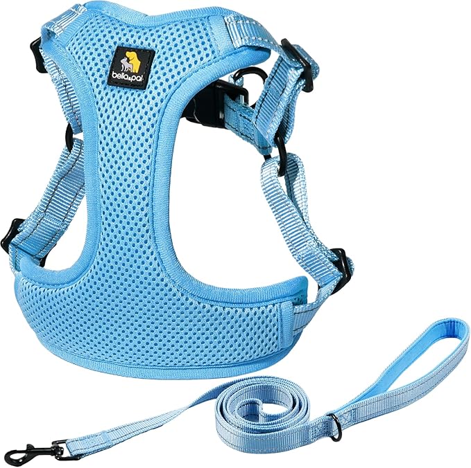 BELLA & PAL Adjustable Step-in Dog Harness, Puppy No-Pull Vest with Leash Set for XS/Small & Medium Dog, Breathable All-Weather Mesh, Reflective Strip, Secure Hook & Loop, Buckle Closure