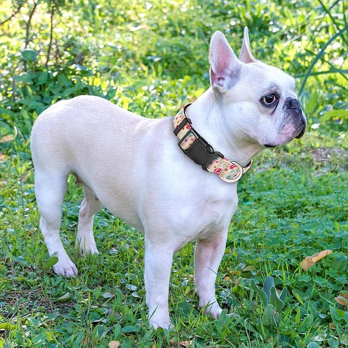 Reflective Dog Collar Padded with Soft Neoprene Breathable Adjustable Nylon Dog Collars for Small Medium Large Dogs (Small (Pack of 1), Vanila/Pink Floral Collar+Leash)