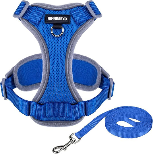 Small Dog Harness and Leash Set, No Pull Adjustable Pet Harness for Small Dogs, Breathable Mesh Rflective Dog Vest Harness (Blue, XXS)
