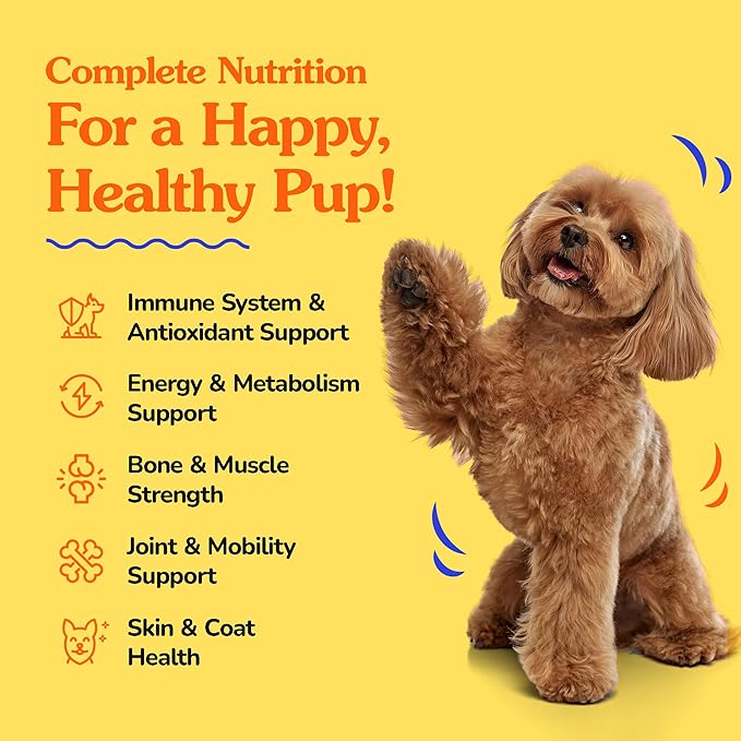Dr Jay's Romps Multivitamins Dog Chews - Collagen Type II for Joint Health, Digestion, Skin & Coat - Vitamins and Supplements to Boost Immune System - Perfect Treats for Pets - 30 Count