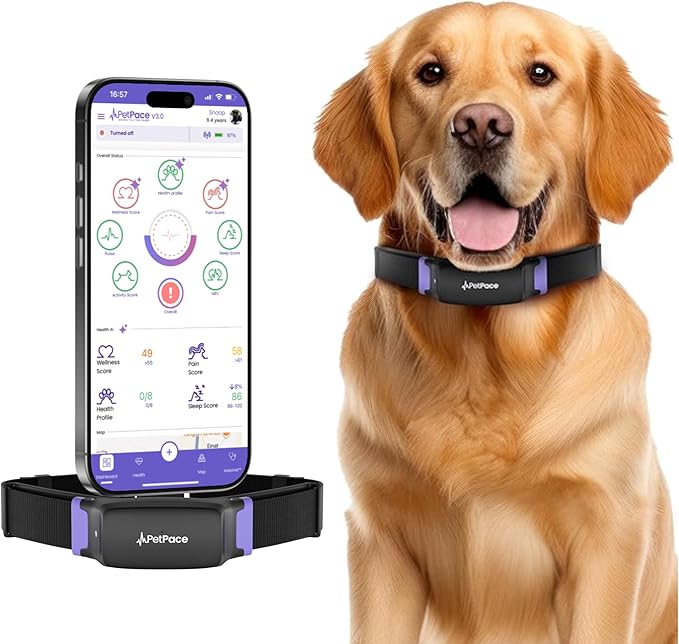 NEW Dog Health Monitor V3.0 by PetPace – AI Smart Collar with 24/7 Vital Signs, Pain & GPS Tracking, Telehealth AskaVet & Share With Your Vet, Smartwatch Sync – Subscription Required (Large)