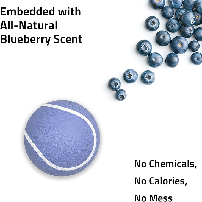 Playology Dog Toys | Squeaky Chew Ball - Bouncy Durable Floating Fetch Ball for Dogs | Medium Blueberry Scented Toy - Easy to Clean and Made from Non Toxic Materials