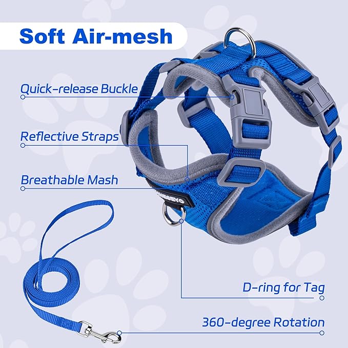 Small Dog Harness and Leash Set，No Pull Adjustable Pet Harness for Small Dogs ，Breathable Mesh Reflective Dog Vest Harness (Blue, XS)