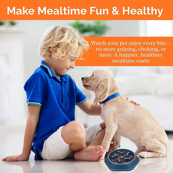 2 PCS Slow Feeder Dog Food Bowl – Bowl Designed to Slow Eating, Promotes Healthy Digestion and Prevents Bloat, Ideal for Cats and Dogs (SkyBlue-Yellow)