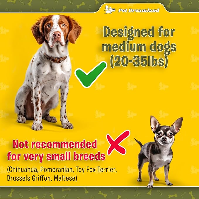 Exquisite Hands-Free Leash for Medium Dogs: Perfect for Active Pet Owners Comfortable, Durable & Ideal for Running, Walking, Hiking. Premium Dog Waist Leash with Bungee. Must-Have Dog Gear