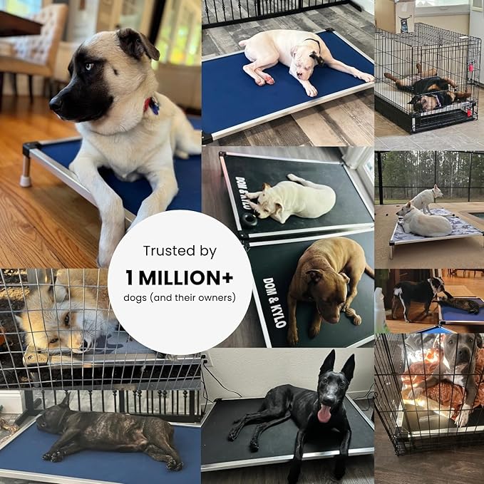 K9 Ballistics Chew Proof Elevated Outdoor Cooling Cot Bed for X Large Dogs - Virtually Indestructible, Preassembled, Withstands Aggressive Chewers - XL, Ripstop Blue Quartz