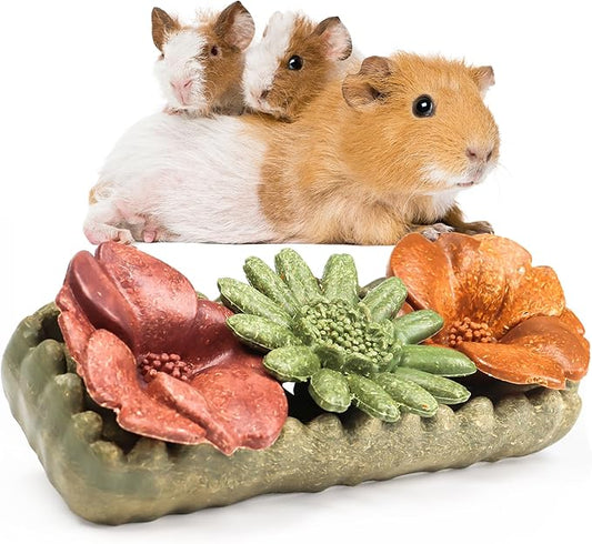 TEEWY Guinea Pig Chew Toys, Prevent Teeth Overgrowth, Natural Timothy Grass & Vegetables, Hamster Chew Toys, Guinea Pig Toys, Chinchilla Toys, 4PCS, Grass Patch & Flowers