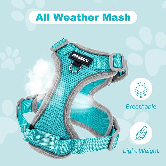 Small Dog Harness and Leash Set, No Pull Adjustable Pet Harness for Small Dogs, Breathable Mesh Rflective Dog Vest Harness (Turquoise, XXS)