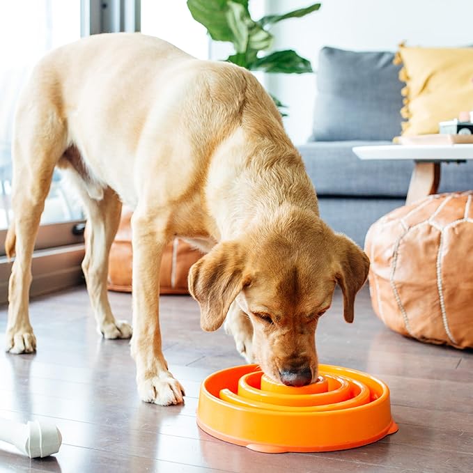 Outward Hound Large Slow Feeder Bowl, Puzzle Maze for Fast Eaters, Medium to Large Dogs, Helps Prevent Bloat & Aid Digestion, Holds 4 Cups Wet or Dry Food, Non-Slip, Made Without BPA, Orange