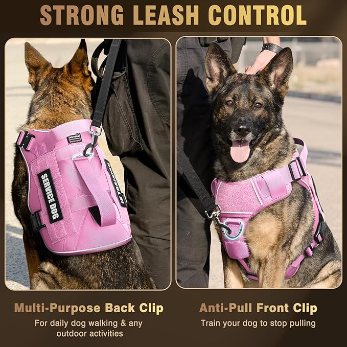WINSEE Tactical Dog Harness for Medium Dog, Heavy Duty Service Working MOLLE Vest with 10 Pet Patches, 2X Metal Buckle Vest for Training Hunting Walking