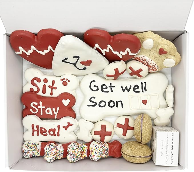 Bonne et Filou Get Well Soon Dog Treats, Gourmet Gift Box, 21 Luxury Macarons, Truffles & Bone Cookies, Healthy & Delicious Snacks for Medium to Large Dogs