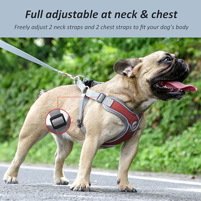 Dog Harness with Leash, Soft Adjustable Step in Reflective Strips Collars Harness Vest for Small Medium Dogs Training and Running (M, Christmas Red)