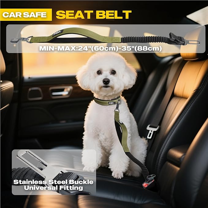 Fida 6-in-1 Hands Free Dog Leash Heavy Duty, Reflective Wasit Corssbody Dog Leash with Car Seat Clip | Adjustable for Running Hiking | Shock Absorbing Bungee, Dual Padded Detachable Handles (Green)