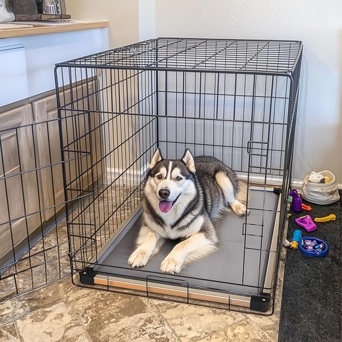 FXW TitanNest Chew-Proof Elevated Dog Bed, Raised Cot for Indoor/Outdoor/Camping Use, Durable & Washable Padded Pet Bed for Medium Dogs, 41.0" L x 27.0" W x 5.0" H, Gray